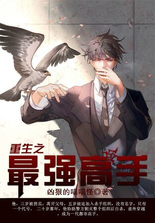重生之最強高手