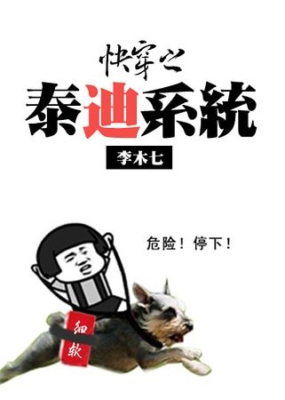 侩穿之泰迪系統