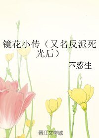 鏡花小傳/反派死光後