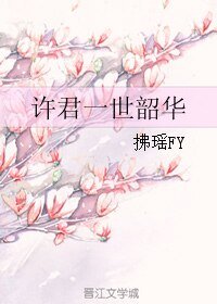 許君一世韶華