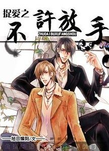 捉愛之不許放手