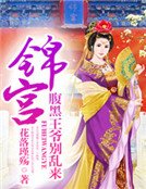 錦宮:腹黑王爺別亂來