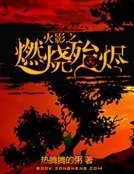 火影之燃燒殆燼