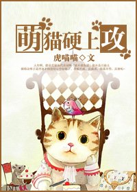萌貓硬上攻