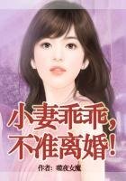 老婆乖乖,不準離婚!