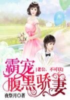 婚後AA制:腹黑老公霸寵妻