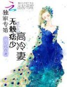獨家專婚:無賴痞少高冷妻