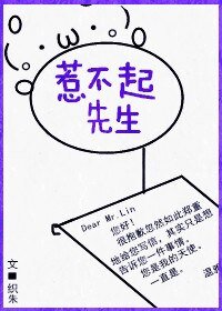 惹不起先生
