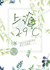 上海29℃