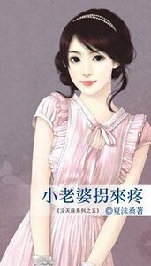 小老婆拐來疼( 沒天良系列之五)