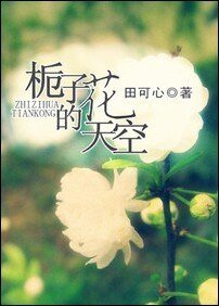 梔子花的天空