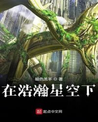 在浩瀚星空下