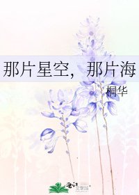 那片星空,那片海