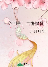 一條四爺,二餅福晉