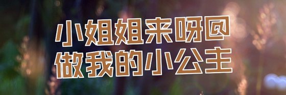 我的書架！高分重生言情小說