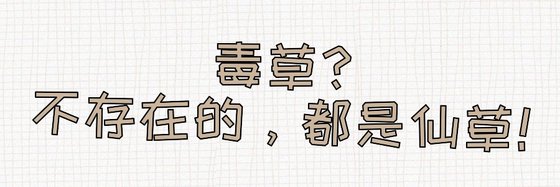 毒草？不存在的，都是仙草！