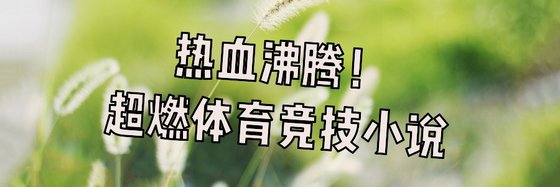 熱血沸騰！超燃體育競技小說
