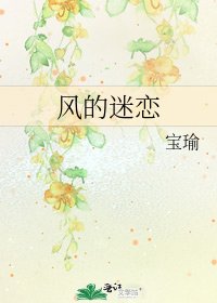 風的迷戀