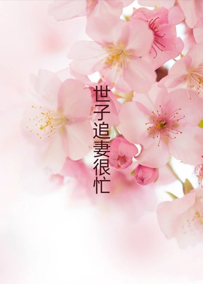 世子追妻很忙,勿擾