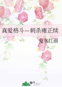 真愛格鬥—刺殺雍正續