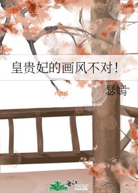皇貴妃的畫風不對!