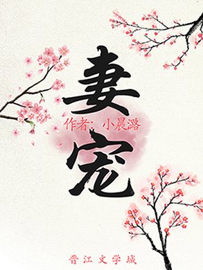妻寵(重生)