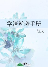 學渣逆襲手冊