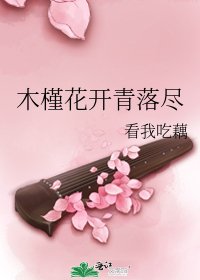 木槿花開青落盡