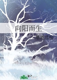 向陽而生