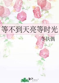 等不到天亮等時光