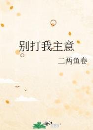 別打我主意