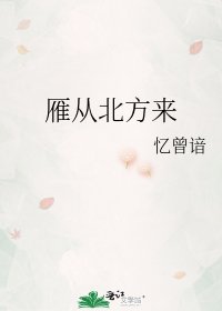 雁從北方來