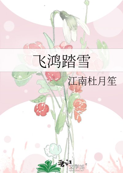 飛鴻踏雪