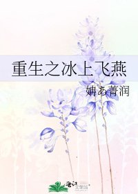 重生之冰上飛燕