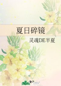 夏日碎鏡