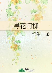 尋花問柳