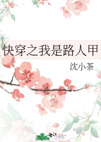 侩穿之我是路人甲