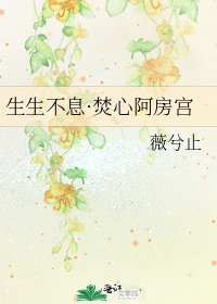 生生不息·焚心阿房宮