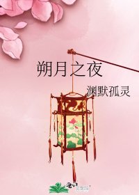 朔月之夜