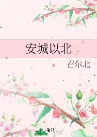 安城以北