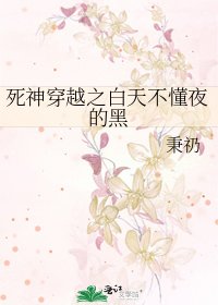 死神穿越之白天不懂夜的黑