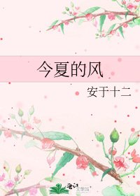 今夏的風