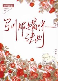 馴敷貓咪法則