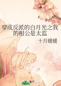 穿成反派的白月光之我的相公是太監