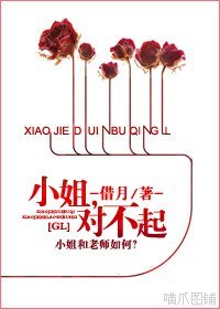 小姐,對不起GL